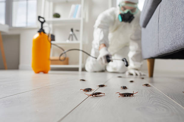 Commercial Kitchen Cockroach Control in Tyler Run